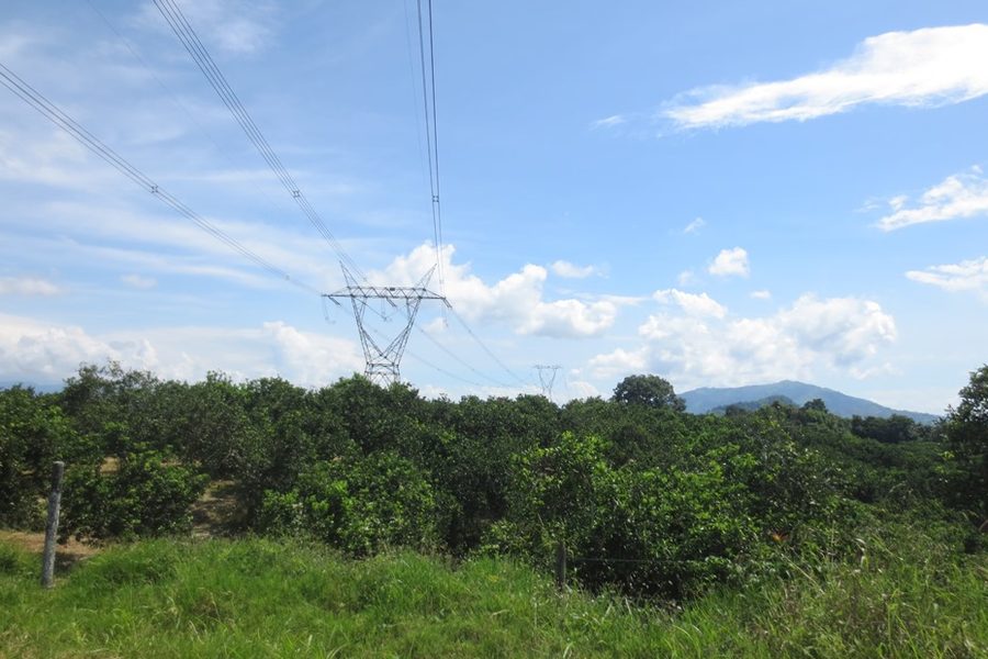 Línea de transmisión eléctrica sobre un predio con cultivos en el Valle del Cauca