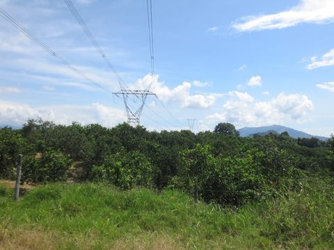 Línea eléctrica que cruza un predio con cultivos